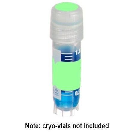 Diversified Biotech DirectThermal Tags (1.5x0.5") and Spot (3/8") Combo, Green, 500 sets/pk, 500PK 249404G